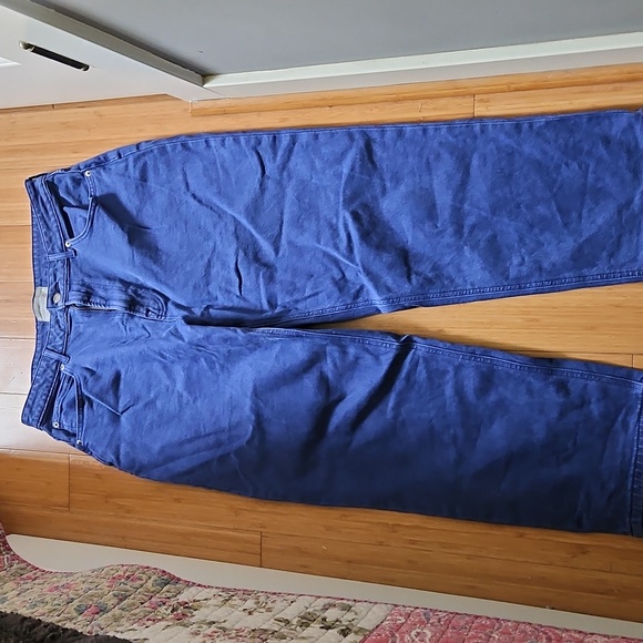 EVERLANE Womens 32 The Curvy Way-High Jean Blue Pants - Picture 3 of 7